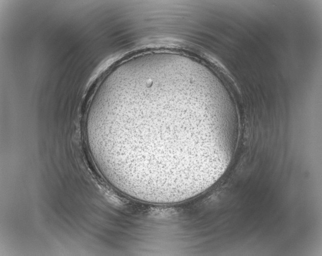 X0000078870978200612041954