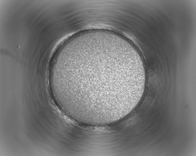 X0000078870979200612041954