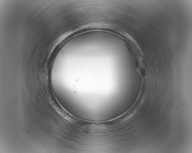 X0000078870981200612041953