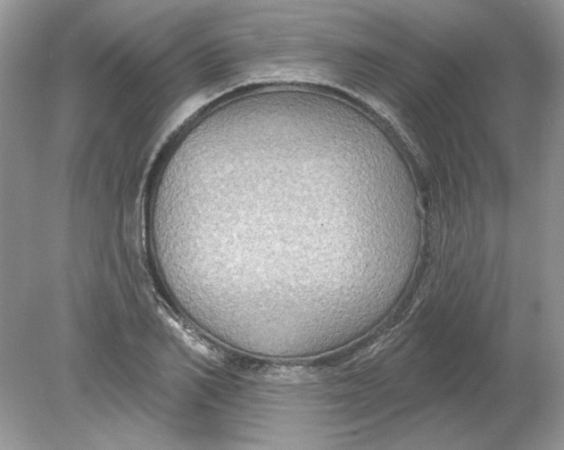 X0000078870982200612041953