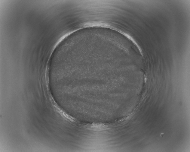 X0000078870983200612041953