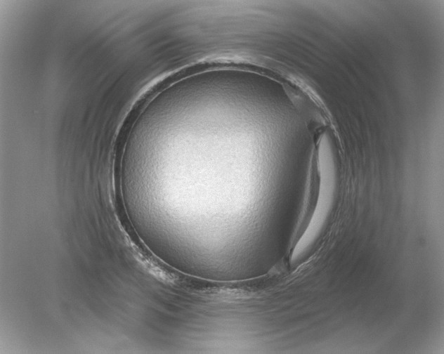 X0000078870984200612041953