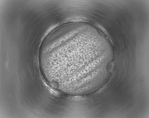 X0000078870986200612041953