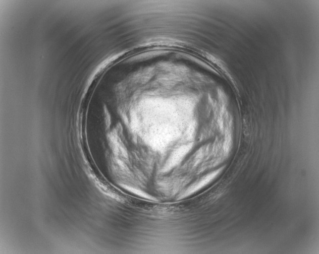 X0000078870987200612041953