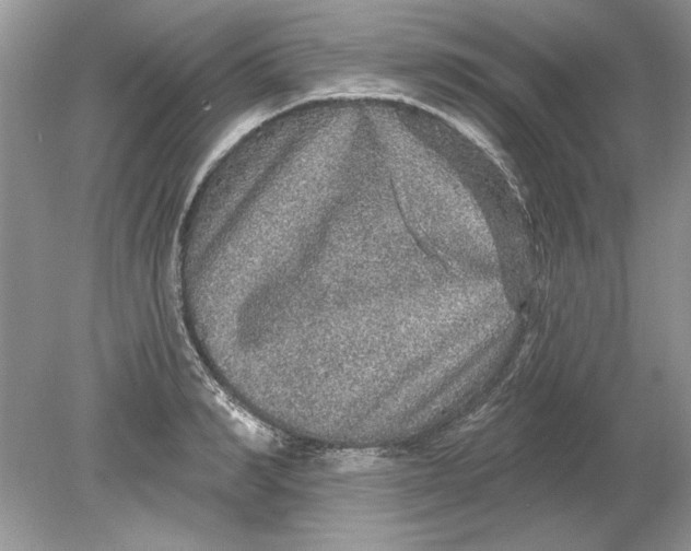 X0000078870990200612041953