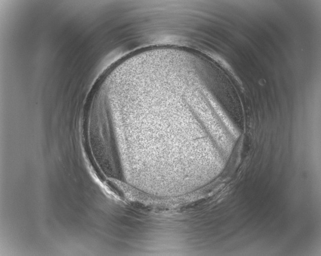 X0000078870991200612041953