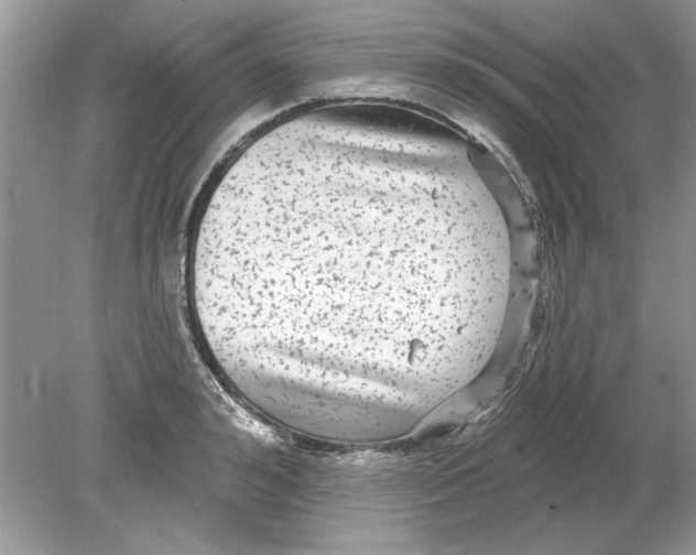 X0000078870992200612041953