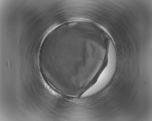 X0000078870995200612041953