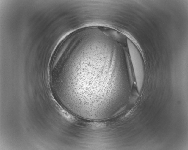 X0000078870996200612041953