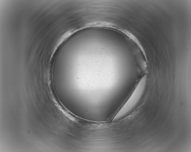 X0000078870997200612041953