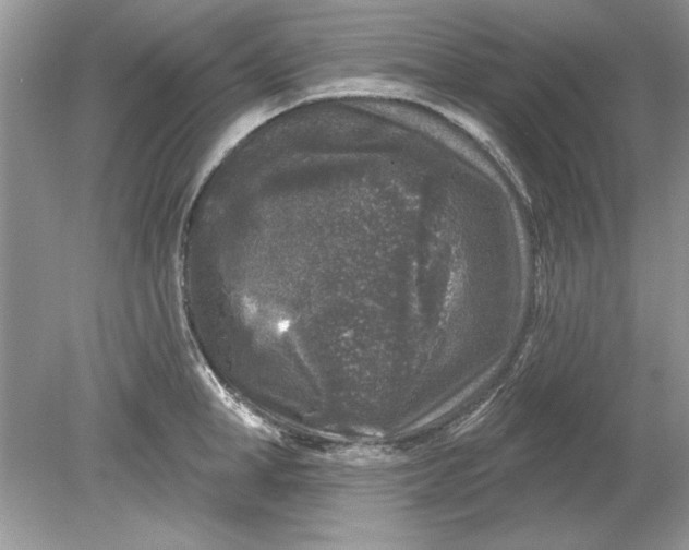 X0000078870998200612041953