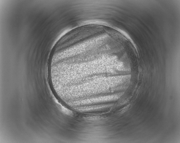 X0000078870999200612041953