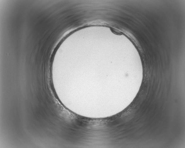 X0000078871000200612041953