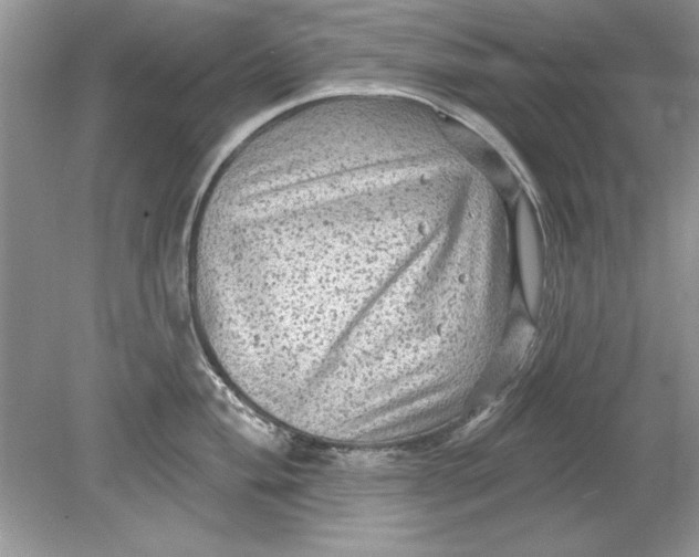 X0000078871004200612041953