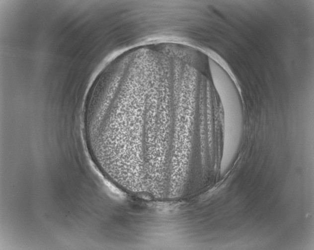 X0000078871005200612041953