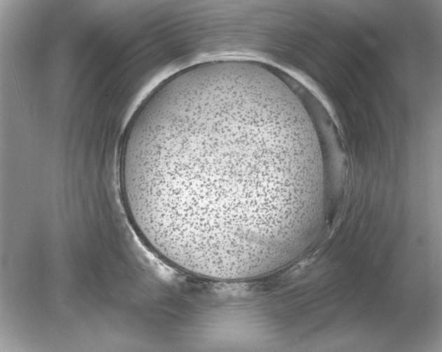 X0000078871006200612041953