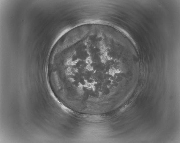 X0000078871007200612041953