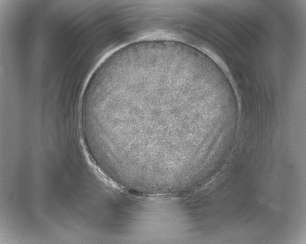 X0000078871008200612041953