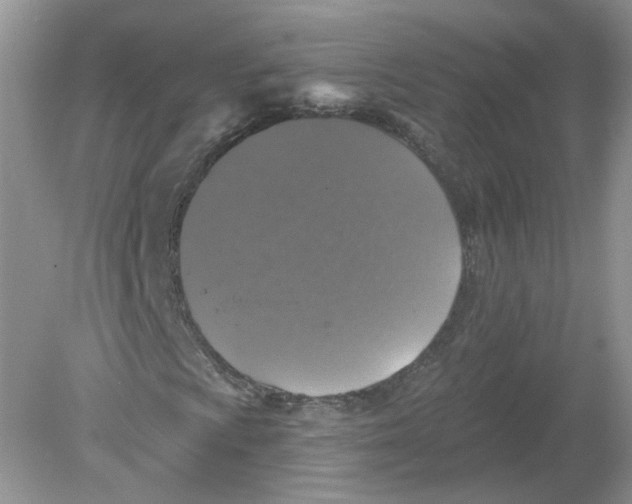 X0000078871009200612041952