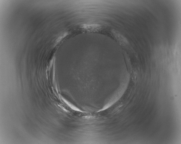 X0000078871010200612041952