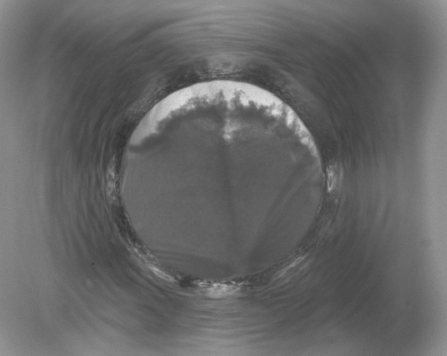 X0000078871011200612041952