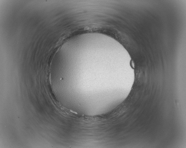 X0000078871012200612041952