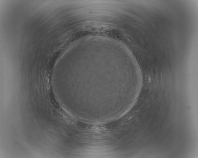 X0000078871013200612041952