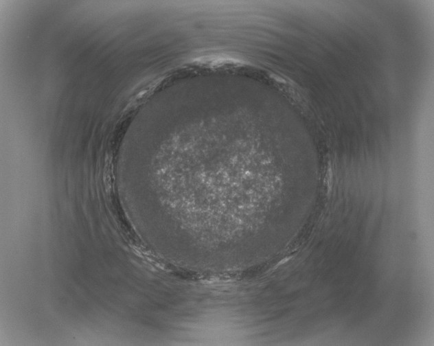 X0000078871014200612041952