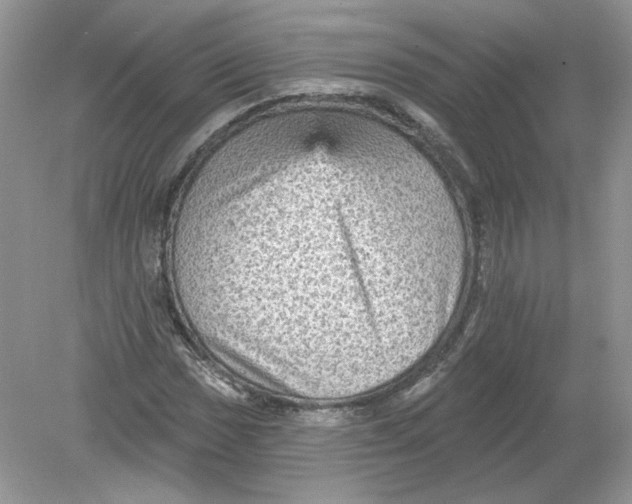 X0000078871017200612041952