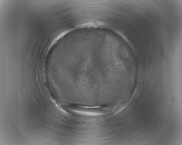 X0000078871018200612041952