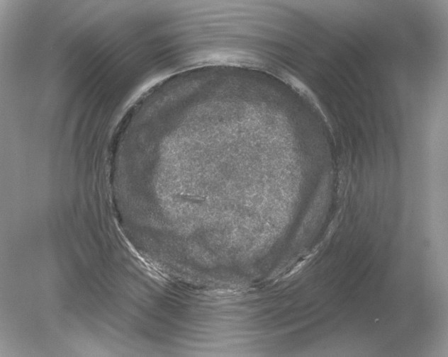 X0000078871019200612041952