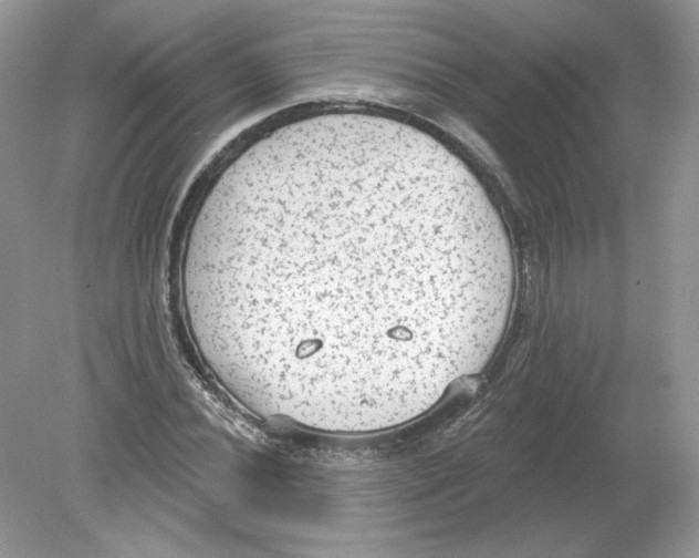 X0000078871020200612041952