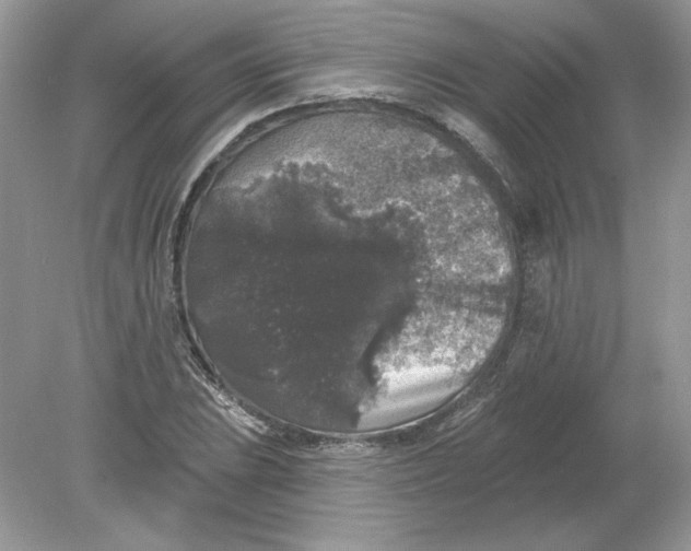 X0000078871023200612041952