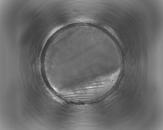 X0000078871024200612041952