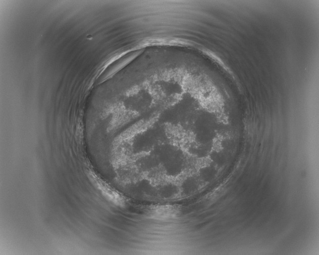 X0000078871025200612041952