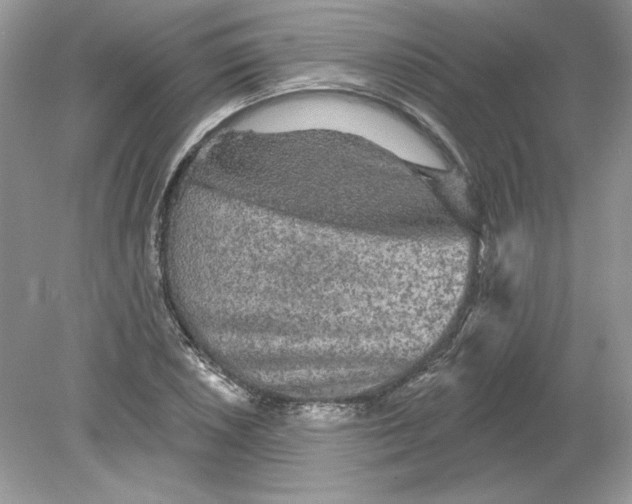 X0000078871026200612041952