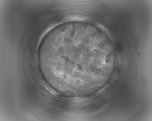 X0000078871027200612041953