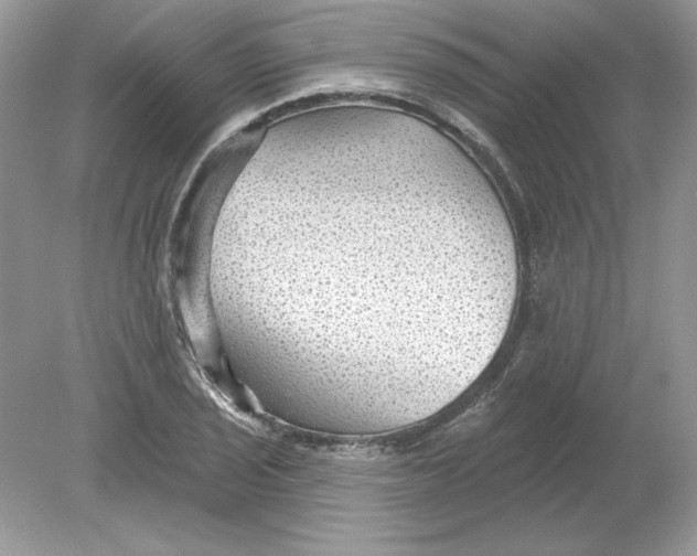 X0000078871029200612041953