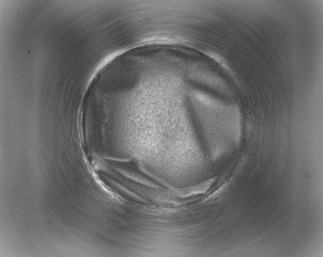 X0000078871030200612041953