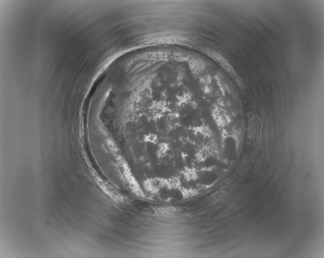 X0000078871031200612041953