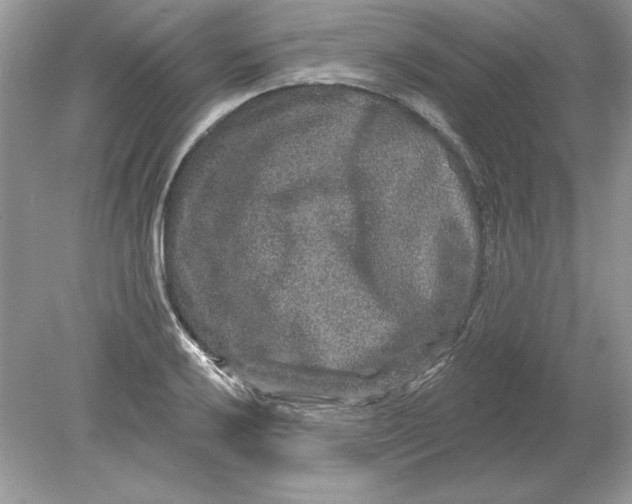 X0000078871032200612041953