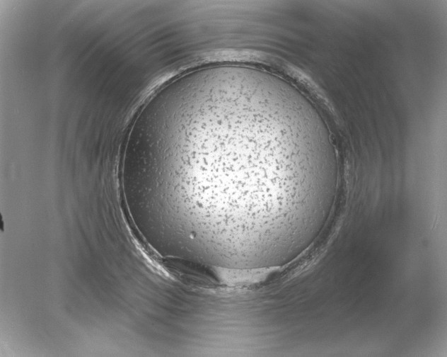 X0000078871033200612041953