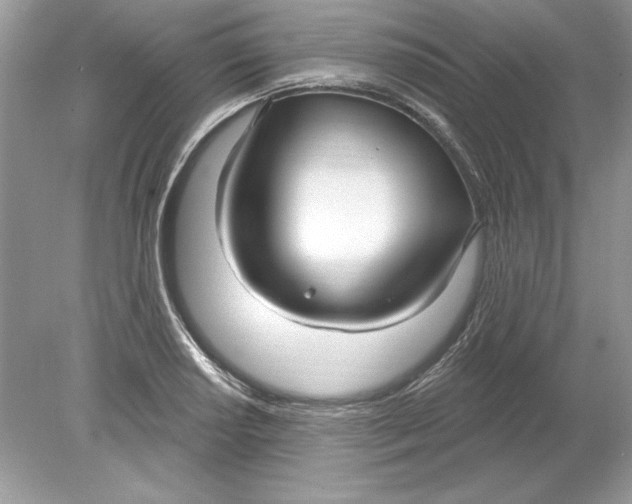 X0000078871034200612041953