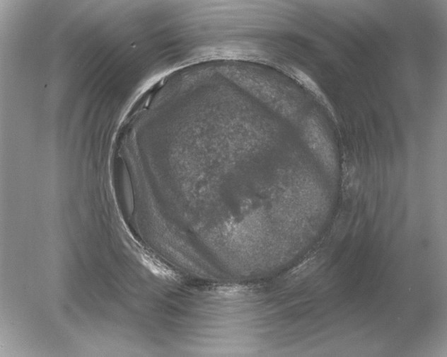 X0000078871035200612041953