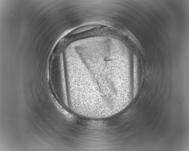 X0000078871036200612041953