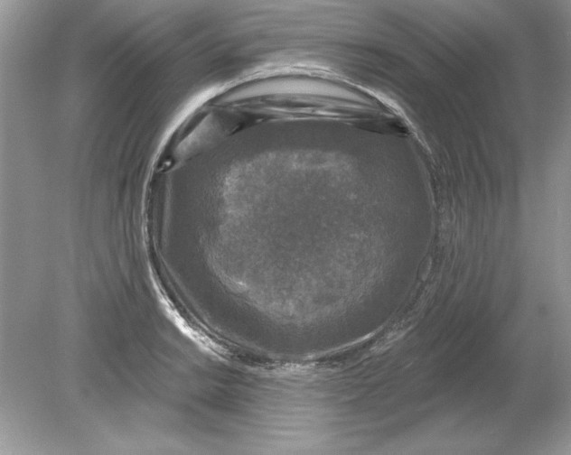 X0000078871038200612041953