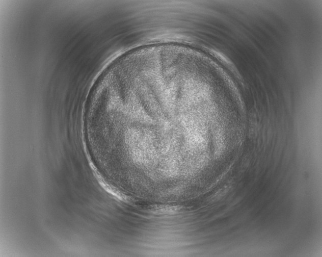 X0000078871039200612041953