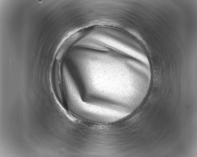 X0000078871040200612041953