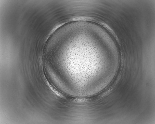 X0000078871041200612041953