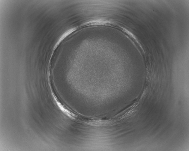 X0000078871042200612041953